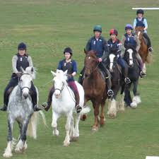 Image result for Weybridge Equestrian Centre