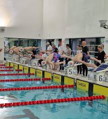 Image result for Morpeth Amateur Swimming Club