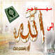 http://t0.gstatic.com/images?q=tbn:ANd9GcTDPXaM13d8Wz_dqpVhMtfsDqxLjuDEo_odY2EiiLeBMsHb3d9gyQ