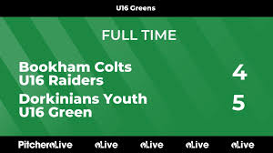 Image result for Bookham Football Club