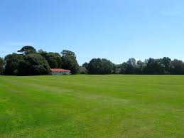 Image result for Ferring Cricket Club