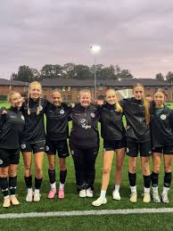 Image result for St Nicholas Youth Football Club