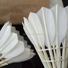 Image result for Feathers Badminton- Leatherhead