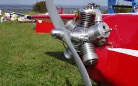 Image result for White Horse Model Club