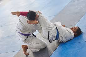 Image result for Brazilian-martial arts