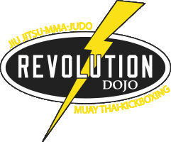 Image result for Revolution Dojo