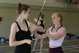 Image result for Fusion twirlers