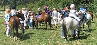 Image result for Porlock Vale Riding School
