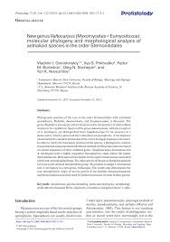 Attēlu rezultāti vaicājumam “Symphytocarpus flaccidus sessile”