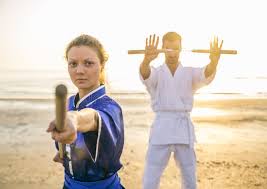 Image result for Masters of Martial Arts