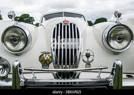 Image result for Old English White 1955 Jaguar