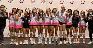 Image result for British Airways Volleyball Club