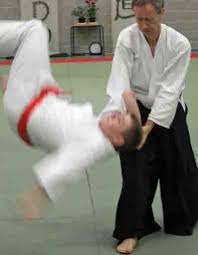 Image result for White Oak Aikido Reading