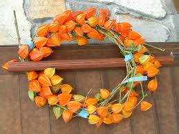 Attēlu rezultāti vaicājumam “Physalis alkekengi flower”