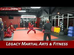 Image result for Impact Martial Arts