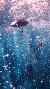 Image result for Richmond-Freediving (London)