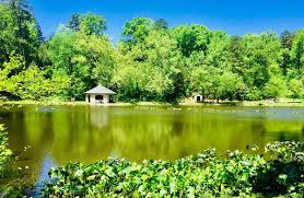 Image result for Hillpark Bowling & Tennis Club