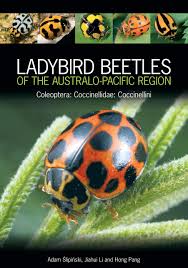 Attēlu rezultāti vaicājumam “Coccinellidae”