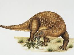 Image result for MINMI