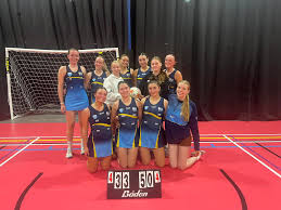 Image result for Christchurch Ladies Netball Club