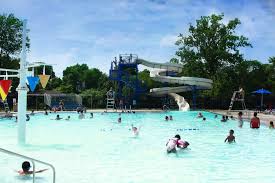 Image result for Kingsbury Aquarius Swimming Club