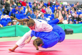 Image result for Redbridge Judo Club