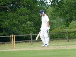 Image result for Waverley Cricket Club