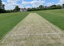 Image result for Almeley Cricket Club