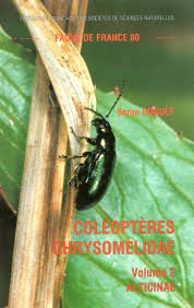 Attēlu rezultāti vaicājumam “Alticinae”