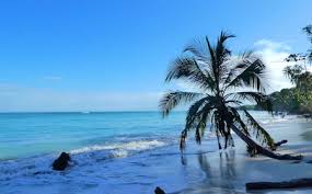 Image result for cahuita costa rica