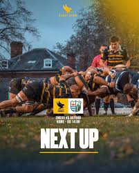 Image result for Henley Rugby Football Club