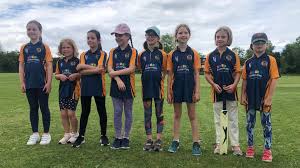 Image result for Wimbledon Cricket Club