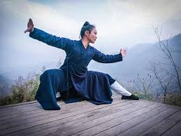 Image result for WUQI KUNG FU AND HEALTH SOCIETY