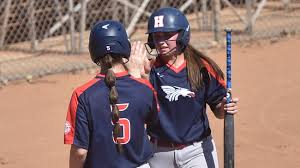 Image result for Dragons Softball Club