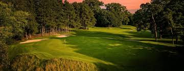Image result for Flint Golf Club