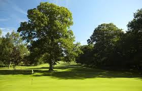 Image result for Kedleston Park Golf Club Ltd