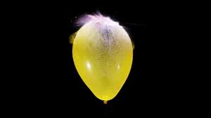 Image result for water balloon burst
