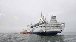 Image result for keltas vilnius