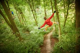 Image result for The Go Ape Experience (Swinley Forest)