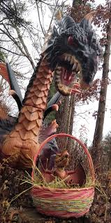 Image result for Coventry Dragons