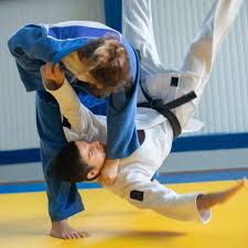 Image result for Mushin Kempo Jiu Jitsu Club