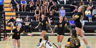 Image result for Newbury Volleyball Club