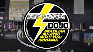 Image result for Revolution Dojo