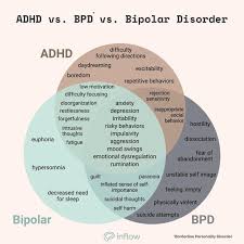 Image result for 衝動制御障害BPD