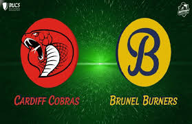 Image result for Cardiff Cobras