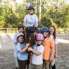 Image result for Shey Copse Riding Centre