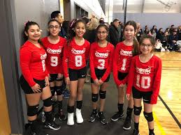 Image result for Chesterfield Cobras Volleyball Club