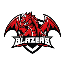 Image result for Sheffield Hockey Club