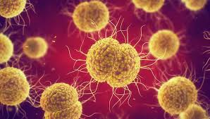 Image result for фотография вируса вич