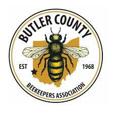 Image result for Boccia In Epsom & Ewell (Bees)